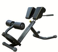 -ASJ-A035 de musculation équipement de fitness de gymnastique commerciale banc de gymnastique chaise romaine
