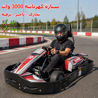 Kart électrique commercial pour adultes et adolescents avec moteur 3000W, batterie 60V, vitesse réglable, piste de karting extérieure
