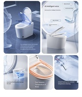 Pas de limite de pression d'eau petite taille luxe Intelligent placard à eau salle de bain capteur de pied automatique une pièce toilette commode