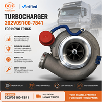 Hochleistungs-Motorturbolader 202V09100-7841 für SINOTRUK