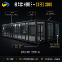 Maison conteneur préfabriquée extensible et pliable de 20 pieds/40 pieds avec mur-rideau en verre et cuisine-chambre