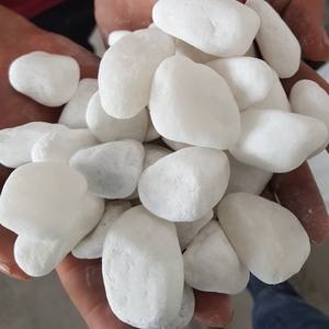 Pierres naturelles de galets blancs, aménagement paysager paysager, vente en gros, disponible en grandes tailles - Product Image 3