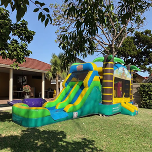 DFRL Tobogán Acuático Inflable de 16 pies con Diseño de Palmera Verde, Piscina de Agua de PVC, Garantía de 3 Años, Capacidad Superior a 600 kg, Fácil de Instalar con Soplador - Product Image 1