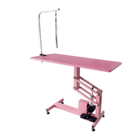 Table de toilettage pour animaux de compagnie électrique rose à levage électrique, nouvelle conception EUR VET, vente en gros, facile à nettoyer, pour les toiletteurs
