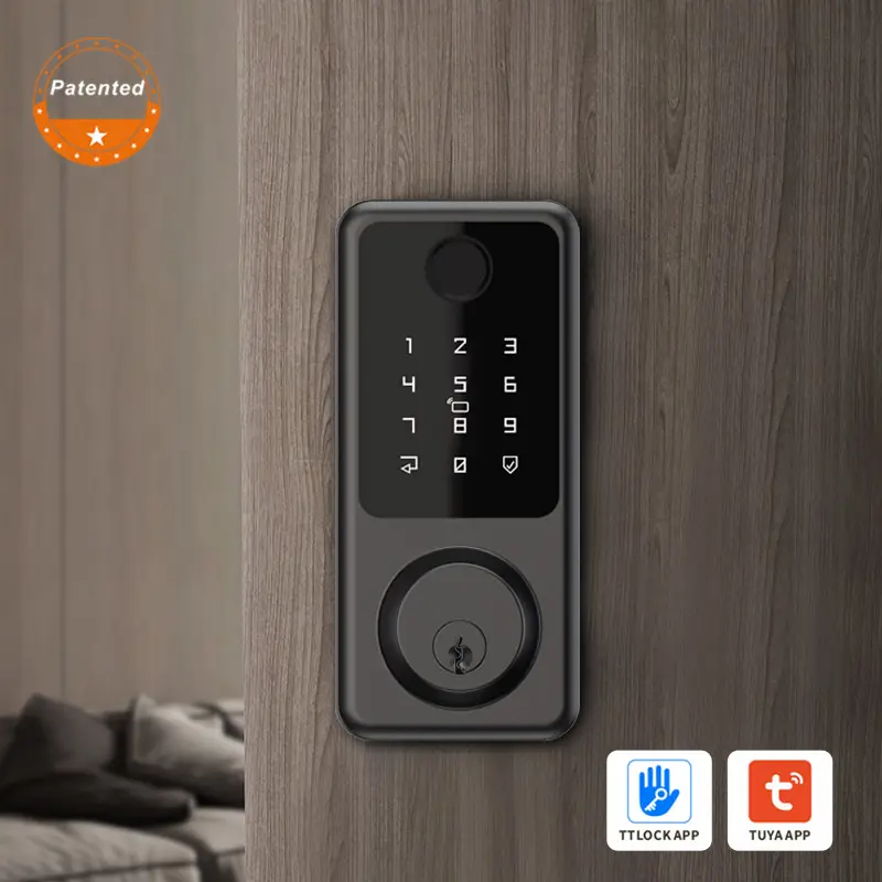 Tuya TTLOCK App Ble Electric Keyless Biometric Fingerprint Password Digital Smart Apartment Room Entry Door Handle Locks