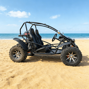 Buggy LNA <span class=keywords><strong>de</strong></span> Colores Personalizados, 200cc, 2 Plazas, Buggy Interior para Conducir en la <span class=keywords><strong>Playa</strong></span> - Product Image 2