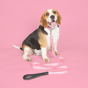 Wholesale Customized Leather Padded Solid Adjustable <strong>Waterproof</strong> <strong>Dog</strong> Collar <strong>Leash</strong> - Product Image 3