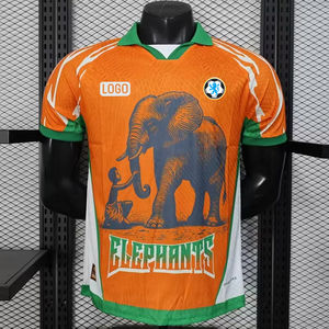 コートジボワール ワールドカップ ホーム サッカーユニフォーム 卸売 Tシャツ サッカー ジャージ カスタムメイド プラッシュ 高品質 メンズ スポーツウェア - Product Image 2