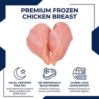 Pechuga de Pollo Congelada Halal al por Mayor, Filete de Pechuga de Pollo Congelada Sin Hueso y Sin Piel para Exportación, Aves de Corral IQF