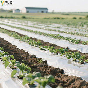 Films de paillis Pbat compostables biodégradables noirs haute résistance pour Film de paillis en plastique Agr Agriculture Perméable - Product Image 4