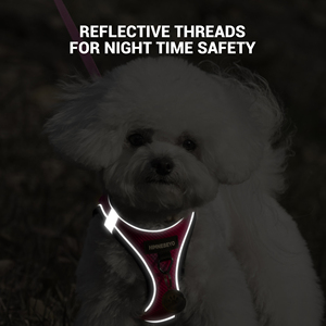 ペットハーネス調節可能犬用ハーネスカスタム大型チェストノープルベスト高級ソフトバックパックプライベートラベル - Product Image 4