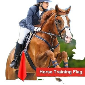 ธงฝึกม้าคุณภาพสูง ผลิตภัณฑ์ใหม่ กันน้ำ พิมพ์ลายสีเต็มรูปแบบ สำหรับแคมเปญ พร้อมโลโก้ใดๆก็ได้ - Product Image 6