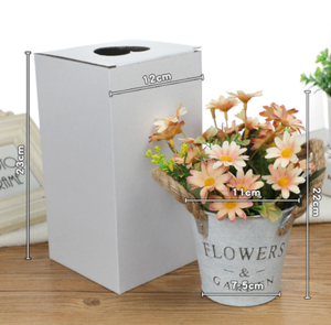 Décorations pour la maison 2022 seau <span class=keywords><strong>en</strong></span> fer plante <span class=keywords><strong>en</strong></span> pot Simulation <span class=keywords><strong>plantes</strong></span> <span class=keywords><strong>en</strong></span> pot - Product Image 6