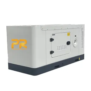 Silent 20kW 20kVA Diesel Power Generator Home Use Genset Electric Governor Stamford Alternator 60Hz Frequency Container Type