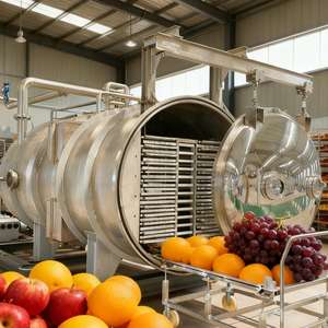 100-200kg Batch Commercial Freeze Dryer Machine Large <b>Scale</b> Lyophilizer <b>for</b> <b>Food</b> Meat Seafood Industrial Use - Product Image 4