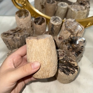 Großhandel hochwertige Baum platte Display natürlichen versteinerten Holz stumpf für Home Decoration - Product Image 5