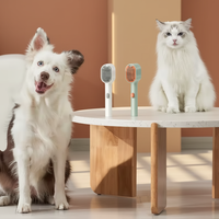 2026 Neuer Umweltfreundlicher Intelligenter Aufladbarer Automatischer Tragbarer ABS Haustier-Massagekamm für Hund/Katze/Kaninchen