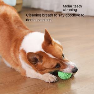 Evcil Hayvan Oyuncakları Isırmaya Dayanıklı TPR Sesli Mısır Topu Köpek Malzemeleri Azı Dişleri Temizleme Köpek Oyuncağı Model K005 Büyük Köpek - Product Image 3