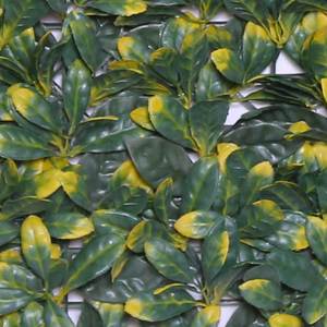 Vente en gros de panneaux muraux en herbe artificielle de haute qualité, 50x50 cm, style classique Yellowhead Holly, plantes décoratives vertes - Product Image 4