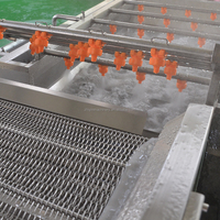 Root Groente Surf Luchtbel Wasproductielijn Fruit Plakjes Gesneden Fruit Wortelgroenten Wassen Reinigingsapparatuur