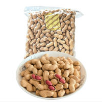 Cacahuetes Frescos Pelados, Snacks Saludables de Frutos Secos, Precio Competitivo