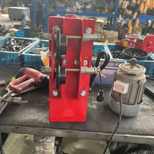 Động cơ đào tạo điện bán hàng Màu hỗ trợ chuỗi <span class=keywords><strong>hoist</strong></span> sơ đồ hệ thống dây điện mini Palăng điện 500kgs - Product Image 6