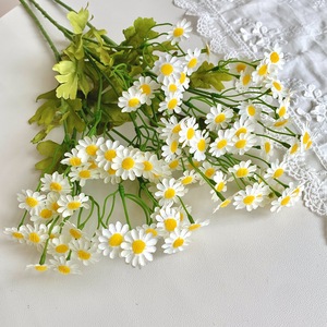 Muyu Chronicles Fleurs artificielles de camomille, 30 têtes, bouquet de marguerites séchées en soie pour la décoration intérieure et les accessoires de photographie - Product Image 2