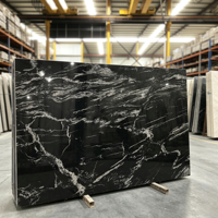 Granit noir naturel de qualité supérieure, idéal pour les murs intérieurs des halls d'hôtel, les îlots de cuisine et les tables à manger