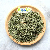Extrait de feuille de romarin de haute qualité Rosmarinus Officinalis extrait de romarin 5% 10% 98% acide rosmarinique