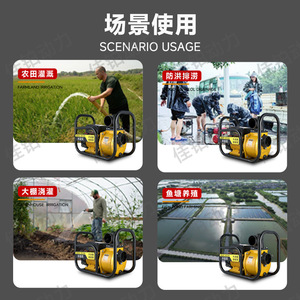 Pompe auto-amorçante électrique DSU-40 1,5 pouce 2,2 kW 220 V/380 V jaune pour l'irrigation et le drainage - Product Image 4
