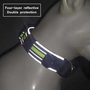 Collar Reflectante para Perro, Ajustable, de Nailon, con Hebilla Metálica, para Paseos Nocturnos y Entrenamiento - Product Image 2