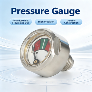 Manomètre à diaphragme de précision de type 23 28 bars pour compresseurs d'air et pompes à air, personnalisable, vente en gros d'usine - Product Image 2