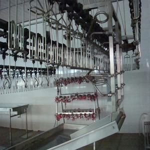 4000 BPH colombe Abattoir Équipements - Product Image 6