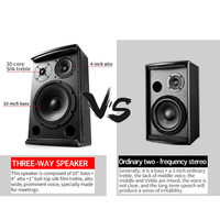 Haut-parleurs audio professionnels 10 "Haut-parleurs karaoké 200w pour les performances sur scène de présentation de conférence