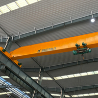 Grue à Pont Monorail Électrique à Conception Personnalisée avec Télécommande Sans Fil