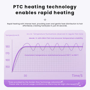 Mini Plancha de Pelo Portátil para Viajes y Dormitorios Escolares, Plancha Profesional con Calentamiento Rápido PTC, Compatible con OEM y ODM Personalizado - Product Image 4