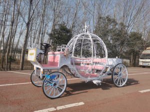 Chariot de mariage élégant en acier, modèle citrouille évidée, pour amoureux, traîné par des chevaux - Product Image 1