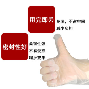 ถุงมือ TPE แบบใช้แล้วทิ้ง QL ขนาดเดียวใช้ได้กับทุกคน กันน้ำ กันน้ำมัน สำหรับแปรรูปอาหารอเนกประสงค์ - Product Image 5