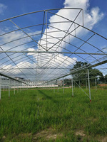 Invernadero Multi-Span con Techo de Plástico para Cultivo de Vegetales y Flores