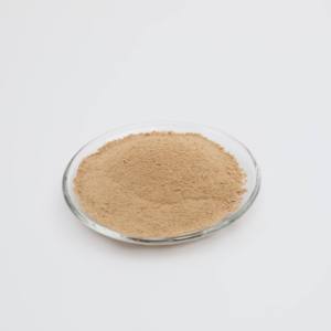 Polvo Orgánico de Alta Eficacia y Amplio Espectro de Beauveria Bassiana, 10 Mil Millones de UFC/g, Libre de Residuos de Compost, Seguro <span class=keywords><strong>para</strong></span> Plantas, Contra el Agrietador del Maíz - Product Image 2