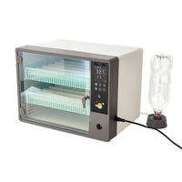 Petit incubateur d'oeufs poulet canard caille utilisant un mini incubateur d'oeufs 50