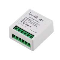 Mini commutateur intelligent compatible avec la matière 16A 2.4G disjoncteur de commutateur à distance sans fil bricolage module de commutateur WiFi pour maison intelligente Homekit