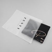 Sac de transport givré personnalisé avec fermeture éclair, en PE, refermable, pour vêtements, avec estampage à chaud, recyclable, vente chaude
