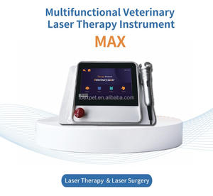 Laser terapi Diowave genggam, peralatan dokter hewan terapi sinar merah rambut Laser terapi Diode genggam - Product Image 6