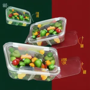 Chinese Hoge Kwaliteit Wegwerp Plastic Oem Pet Clear Food Plastic Fruitsalade Container