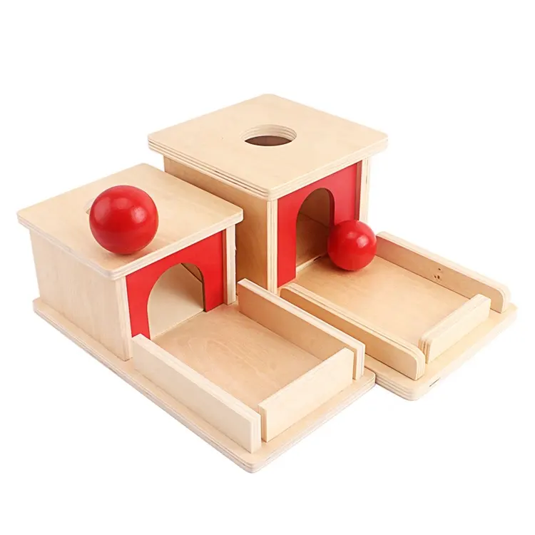 Boîte d'apprentissage de la vie Montessori, jouet éducatif, boîte permanente en bois, plateau pour objets, bambins unisexe