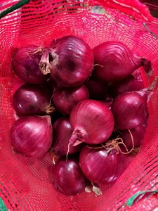 Oignons frais naturels jaunes / rouges à peau, qualité supérieure, fournisseur d'oignons frais, marque optimale, <span class=keywords><strong>prix</strong></span> de gros d'usine, exportateur - Product Image 4