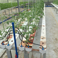 Système horticole de croissance NFT hydroponique horizontale, serre agricole, noir