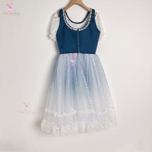 2025 DT012 Costumes de performance de ballet professionnel sur mesure pour 'Coppélia' BlueLa Fille Mal Gardée - Product Image 2