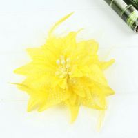 Accessoires de cheveux pour enfants : nœuds, barrettes, épingles et coiffes à plumes et fleurs pour la danse et les spectacles scolaires